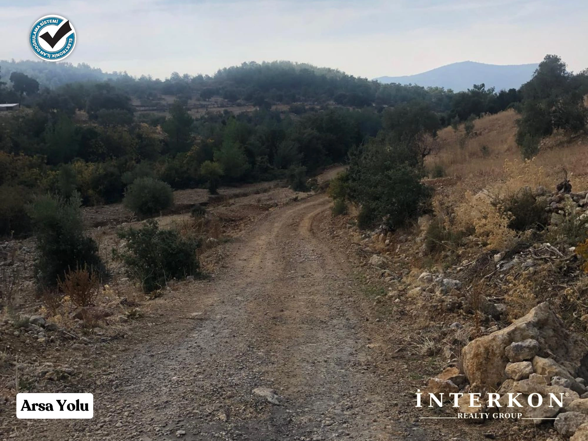  MUĞLA MENTEŞE DAĞPINAR MAHALLESİ 1309 M2 SATILIK ZEYTİNLİK!